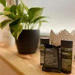 Appartement Familienwohnung Im Hochwald Naehe Trier Und Mosel Ruhig Und Naturnah