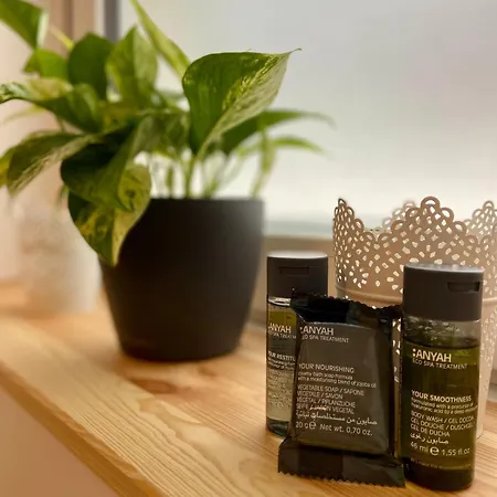 Appartement Familienwohnung Im Hochwald Naehe Trier Und Mosel Ruhig Und Naturnah