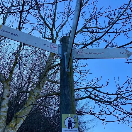 아파트 Familienwohnung Im Hochwald Naehe Trier Und Mosel Ruhig Und Naturnah *