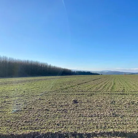 公寓 Familienwohnung Im Hochwald Naehe Trier Und Mosel Ruhig Und Naturnah