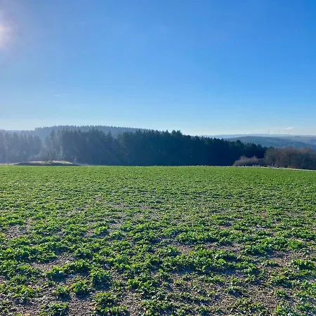 公寓 Familienwohnung Im Hochwald Naehe Trier Und Mosel Ruhig Und Naturnah *