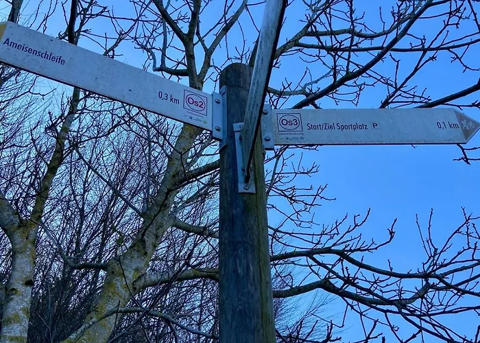 Apartamento Familienwohnung Im Hochwald Naehe Trier Und Mosel Ruhig Und Naturnah *