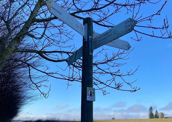Familienwohnung Im Hochwald Naehe Trier Und Mosel Ruhig Und Naturnah * Osburg