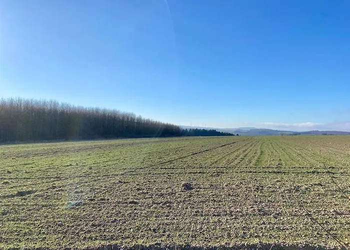 公寓 Familienwohnung Im Hochwald Naehe Trier Und Mosel Ruhig Und Naturnah