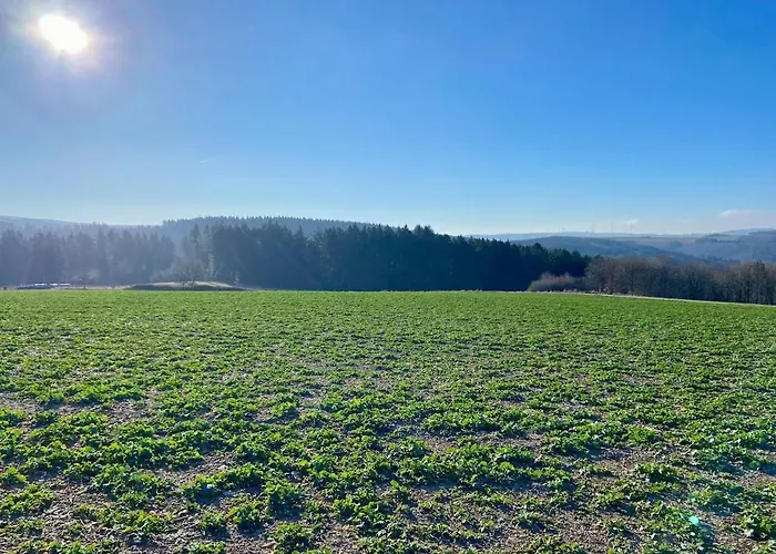 Apartamento Familienwohnung Im Hochwald Naehe Trier Und Mosel Ruhig Und Naturnah *