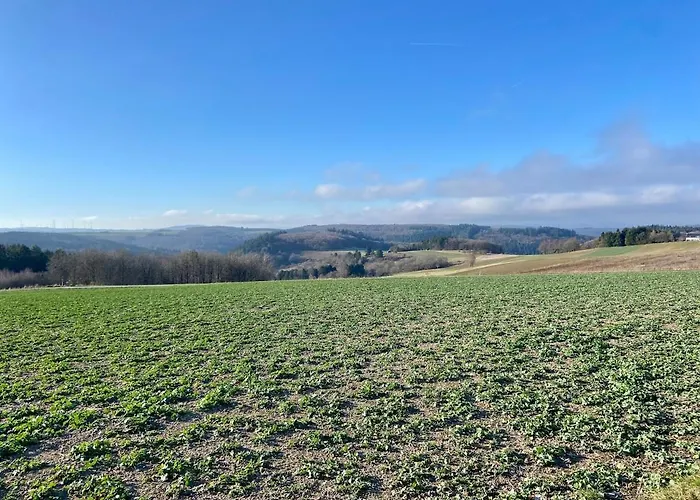 Familienwohnung Im Hochwald Naehe Trier Und Mosel Ruhig Und Naturnah